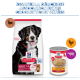 Sac et boîte Hill's Science Plan pour chiens, grande image d'un chien noir et blanc, texte « Adult 1–5 » et « Recette saine au poulet ».