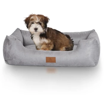 Hundebett Dreamline aus Velours grau M-L Ein kleiner, flauschiger Hund sitzt bequem in einem weichen, grauen Haustierbett mit einem braunen Lederetikett, das "Knottsworth" liest.