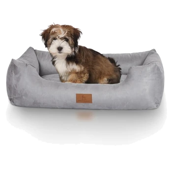 Ein kleiner, flauschiger Hund sitzt bequem in einem weichen, grauen Haustierbett mit einem braunen Lederetikett, das "Knottsworth" liest.