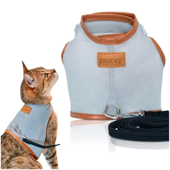 Ein stilvolles Katzengeschirr aus grauem Netzstoff mit braunen Lederakzenten, das neben einer neugierigen Katze, die es trägt, und einer aufgerollten schwarzen Leine gezeigt wird.
