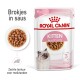 Royal Canin kitten food pouch, 85g x12, met een kom met brokjes in saus, gelabeld 'Tot 12 maanden' en 'Zachte textuur voor melktanden.'