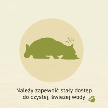Ilustracja śpiącego zwierzęcia z tekstem podkreślającym potrzebę stałego dostępu do czystej, świeżej wody.