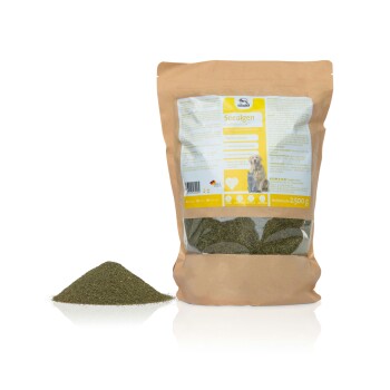 Braune Papiertüte mit Algenpulver für Hunde, mit einem Haufen Pulver daneben; enthält Nährwertinformationen und ein Hundebild.