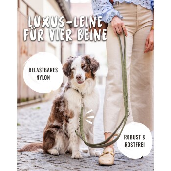 Person hält eine grüne Nylon-Hundeleine mit einem sitzenden Hund; deutsche Beschriftungen: 'Luxus-Leine', 'Belastbares Nylon', 'Robust & Rostfrei'.