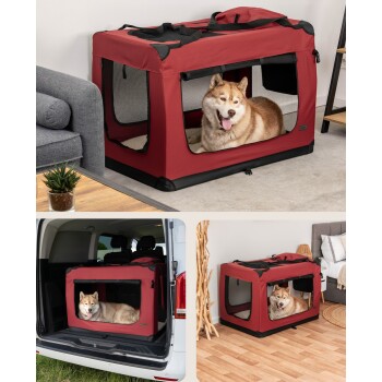 Zwei sibirische Huskys entspannen sich in einer hellroten Haustierbox mit Netzfenstern, die eine gemütliche und sichere Umgebung zeigt.