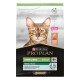 Sac de nourriture pour chat Purina Pro Plan avec un gros plan du visage d'un chat, étiqueté "Sterilised Adult Renal Plus," avec du saumon comme ingrédient principal.