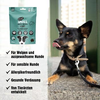 Ein schwarz-brauner Hund sitzt neben tealfarbenen "kleine Insekten für Haustiere" Leckerlis, geeignet für alle Hunde, fördert die Verdauung und ist allergiefreundlich.