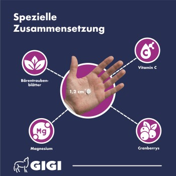 Fütterungsempfehlung in Tabletten: 2 für Katzen/kleine Hunde, 4 für mittelgroße, 6 für große Hunde. Gigi-Logo unten.