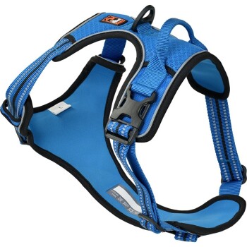 harness Pathfinder blue XL