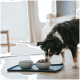 Ein schwarzer und brauner Hund frisst aus einer grauen Schüssel, die mit Trockenfutter gefüllt ist, während eine zweite leere Schüssel auf einem dunklen Tablett in einem hellen, modernen Raum steht.