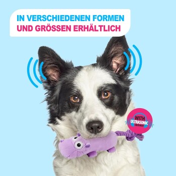 Schwarz-weißer Hund hält lila Plüsch-Flusspferd-Spielzeug; deutscher Text zu Größen; Badge 'MIT ULTRASCHALL-QUIETSCHER'