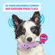 Schwarz-weißer Hund hält lila Plüsch-Flusspferd-Spielzeug; deutscher Text zu Größen; Badge 'MIT ULTRASCHALL-QUIETSCHER'