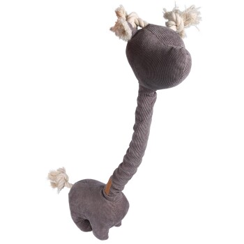 D&D Home Cord George