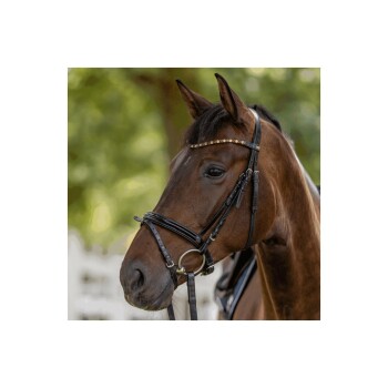 Eine Nahaufnahme eines braunen Pferdes mit einer schwarzen Trense und einem dekorativen Stirnriemen, vor einem verschwommenen grünen Hintergrund.