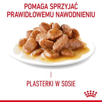 Mokra karma dla zwierząt na białym talerzu, z kawałkami w soczystym sosie, z tekstem mówiącym "Helps support proper hydration" i "Chunks in sauce."
