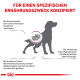Hundesilhouette mit einer Nierengrafik, die Nierenprobleme und Ernährungsbedürfnisse veranschaulicht, begleitet von deutschem Text zu Symptomen und freien Radikalen.