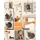 Collage von verspielten Katzen auf einem modernen Baum: graue Katze, die nach einem Pom-Pom greift, flauschige orangefarbene Katze, die sich entspannt, weiße Katze mit einem orangefarbenen Bandana.
