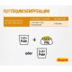 Fütterungstabelle 'Fütterungsempfehlung' pro 24 Std.: Kätzchen <4 Monate 3× Paté; 4–9 Monate 3–4×; 9–12 Monate 2–3×. Josera-Logo