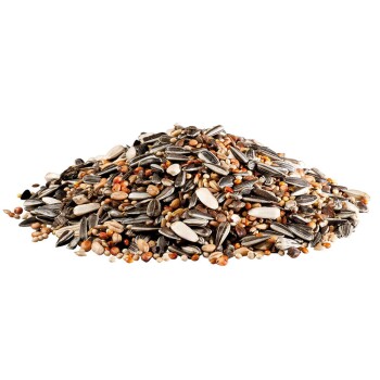 Ein Haufen gemischter Vogelfutter mit verschiedenen Samen, darunter Sonnenblumenkerne, Hirse und kleine Körner, vor einem weißen Hintergrund.