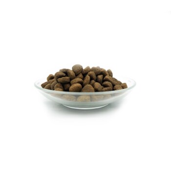 Eine Glasschüssel gefüllt mit braunen Haustierfutterkibbles, mit einem Haufen kleiner, runder Stücke vor einem weißen Hintergrund.