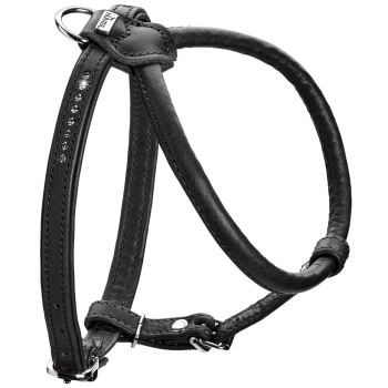 Schwarzes Haustiergeschirr mit dekorativen Strasssteinen entlang eines Riemens, mit verstellbaren Schnallen und einem metallischen D-Ring zur Leinenbefestigung.