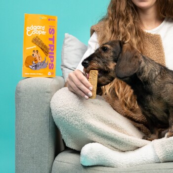 Eine Frau auf einem Sofa hält einen Hundekeks, während ein Dackel einen kaut. Im Hintergrund ist eine Tüte Edgard Cooper Strips mit der Aufschrift "Frisches Huhn".