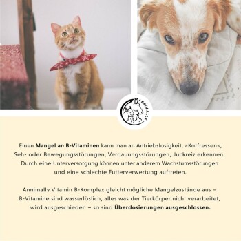 Annimally Vitamin B Komplex 120 Stück
