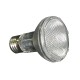 LED-Lampe mit einer reflektierenden, strukturierten Linse und einem Standard-Schraubgewinde, entworfen für Haustierlebensräume.