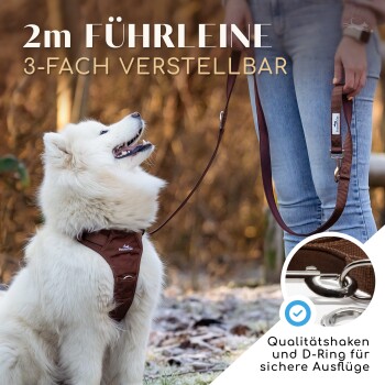 Hundeleine 2m, gepolstert & verstellbar braun 2 cm
