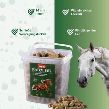 Plastikbehälter mit Panto Mineral-Bits Pferdeergänzungen mit Pellets, Pferdebild und deutschem Text über Vorteile.