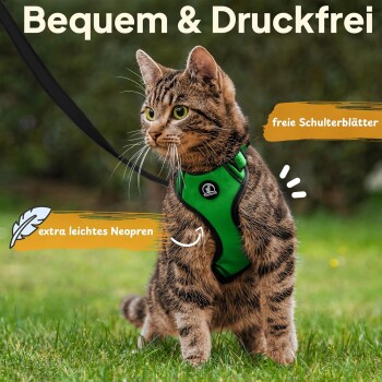 Eine getigerte Katze in einem grünen Geschirr steht auf Gras, mit dem Text: "Bequem & Druckfrei," "extra leichtes Neopren," "freie Schulterblätter."