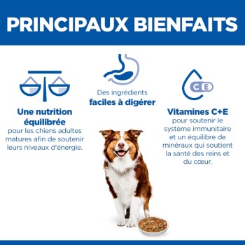 Bannière d'aliments pour animaux « PRINCIPAUX BIENFAITS » — Une nutrition équilibrée ; Ingrédients faciles à digérer ; Vitamines C+E. Chien avec bol.