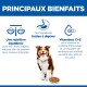 Bannière d'aliments pour animaux « PRINCIPAUX BIENFAITS » — Une nutrition équilibrée ; Ingrédients faciles à digérer ; Vitamines C+E. Chien avec bol.