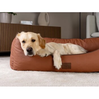Goldener Labrador ruht in einem braunen Leder-Hundebett mit der Aufschrift "Tread" auf einem hellen Teppich in einem modernen Wohnzimmer.
