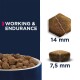 Tierfutterkibbles in einer Schüssel präsentiert, mit einem Vergleich von zwei Kibblesgrößen: 14 mm Sechseck und 7,5 mm rund, neben dem Text "WORKING & ENDURANCE."