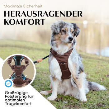 Ein Hund, der ein braunes Geschirr im Freien trägt, mit Text, der "Herausragender Komfort" und "Großzügige Polsterung für optimalen Tragekomfort" hervorhebt.