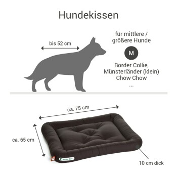 Hundebett für mittelgroße bis große Hunde, Maße ca. 75 cm x 65 cm, 10 cm dick, geeignet für Rassen wie Border Collie und Chow Chow.