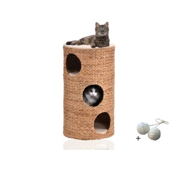 ® Katzentonne Wasserhyazinthe "Montana" mit Spielkugelset