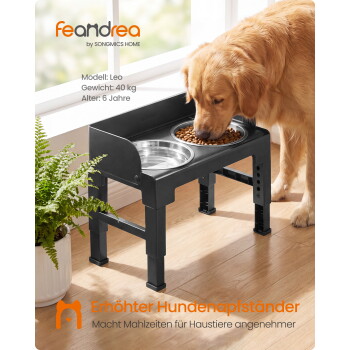 Golden Retriever frisst aus schwarzem verstellbarem erhöhtem Hundenapf mit zwei Metallschüsseln; Text: feandrea, Leo, 40kg, 6 Jahre