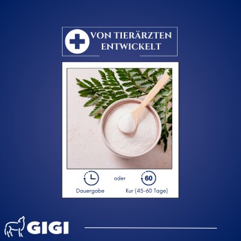 Haustierergänzungspulver in einer Schüssel mit einem Holzlöffel, umgeben von grünen Blättern; der Text lautet 'Von Tierärzten entwickelt' und Dosierungsoptionen.