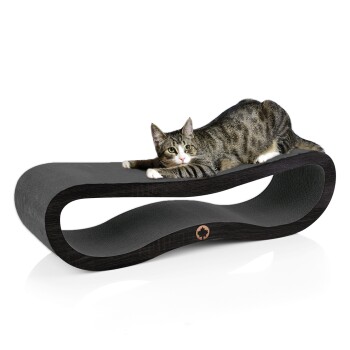 Kratzbrett Orbit 2.0 schwarz