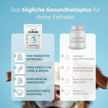 Links: Dr. SAM GelenkWunder Hundezusatz mit Vorteilen. Rechts: Generische Marke mit Nachteilen. Hintergrund: Hundegesicht.