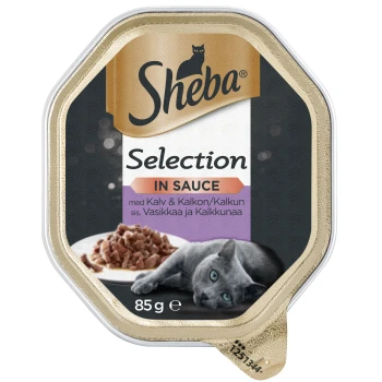 Sheba Selection in Sauce Katzenfutter, mit einer grauen Katze neben einer Schüssel mit zerrissenem Fleisch, 85g Verpackung mit Text in mehreren Sprachen.