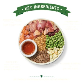 Lily's kitchen puppy chicken & salmon best sale