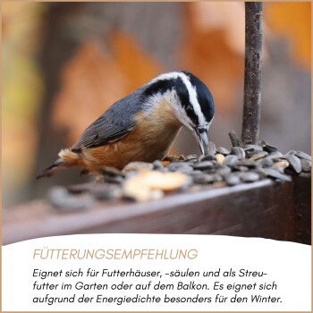 Vogel frisst Sonnenblumenkerne an einem Futterplatz mit deutschem Text zu Fütterungsempfehlungen für den Winter.