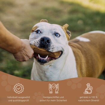 Ein glücklicher blauäugiger Hund hält ein Kauspielzeug, während eine Hand sich ausstreckt. Text: "Individuell ausgewählt," "Handgeschliffen," "100% Olivenöl."
