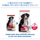 Twee Hill's Science Plan hondenvoederszakken met een hond; zichtbare tekst 'Adult 1-5', 'ACTIVBIOME+ MULTI BENEFIT' en een Nederlandse kop.