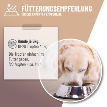 Ein golden retriever Welpe, der aus einer Metallschüssel frisst, mit einer Empfehlung für tägliche Tropfen: 10-20 Tropfen für Hunde mit einem Gewicht von 5 kg.