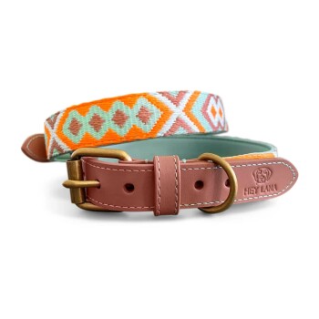 Premium Halsband Gepolstert