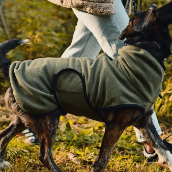 Ein mittelgroßer Hund mit einem schwarz-braunen Fell, der eine dunkelgrüne Fleeceweste trägt, sitzt vor einem weißen Hintergrund.